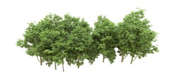 Yeşil orman ıssız. Afişler ve afişler için kullanışlı. 3d oluşturma.