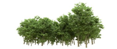 Yeşil orman ıssız. Afişler ve afişler için kullanışlı. 3d oluşturma.