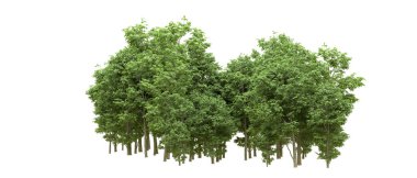 Yeşil orman ıssız. Afişler ve afişler için kullanışlı. 3d oluşturma.