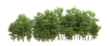 Yeşil orman ıssız. Afişler ve afişler için kullanışlı. 3d oluşturma.