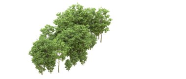 Yeşil orman ıssız. Afişler ve afişler için kullanışlı. 3d oluşturma.