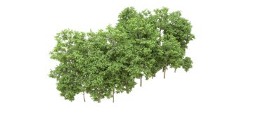 Yeşil orman ıssız. Afişler ve afişler için kullanışlı. 3d oluşturma.
