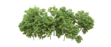 Yeşil orman ıssız. Afişler ve afişler için kullanışlı. 3d oluşturma.