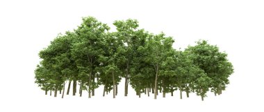 Yeşil orman ıssız. Afişler ve afişler için kullanışlı. 3d oluşturma.