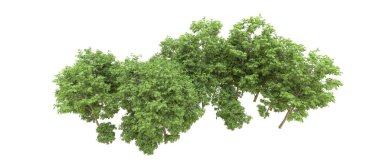 Yeşil orman ıssız. Afişler ve afişler için kullanışlı. 3d oluşturma.