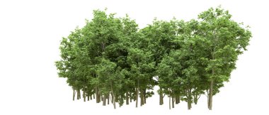 Yeşil orman ıssız. Afişler ve afişler için kullanışlı. 3d oluşturma.