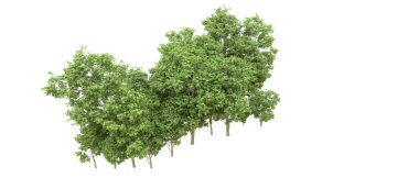 Yeşil orman ıssız. Afişler ve afişler için kullanışlı. 3d oluşturma.