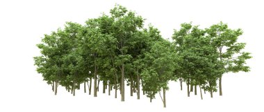 Yeşil orman ıssız. Afişler ve afişler için kullanışlı. 3d oluşturma.