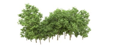 Yeşil orman ıssız. Afişler ve afişler için kullanışlı. 3d oluşturma.