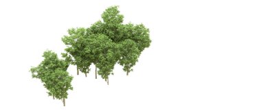 Yeşil orman ıssız. Afişler ve afişler için kullanışlı. 3d oluşturma.