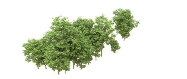 Yeşil orman ıssız. Afişler ve afişler için kullanışlı. 3d oluşturma.
