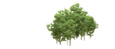 Yeşil orman ıssız. Afişler ve afişler için kullanışlı. 3d oluşturma.