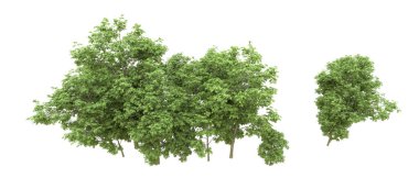 Yeşil orman ıssız. Afişler ve afişler için kullanışlı. 3d oluşturma.