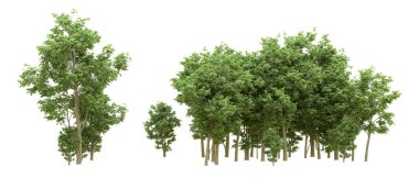 Yeşil orman ıssız. Afişler ve afişler için kullanışlı. 3d oluşturma.