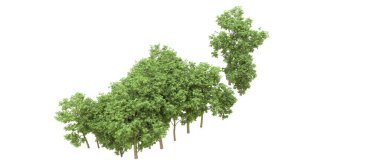 Yeşil orman ıssız. Afişler ve afişler için kullanışlı. 3d oluşturma.