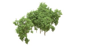 Yeşil orman ıssız. Afişler ve afişler için kullanışlı. 3d oluşturma.
