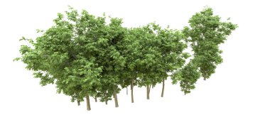 Yeşil orman ıssız. Afişler ve afişler için kullanışlı. 3d oluşturma.