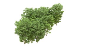 Yeşil orman ıssız. Afişler ve afişler için kullanışlı. 3d oluşturma.