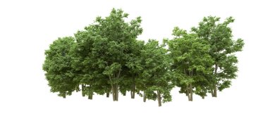 Yeşil orman ıssız. Afişler ve afişler için kullanışlı. 3d oluşturma.