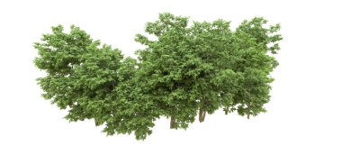 Yeşil orman ıssız. Afişler ve afişler için kullanışlı. 3d oluşturma.