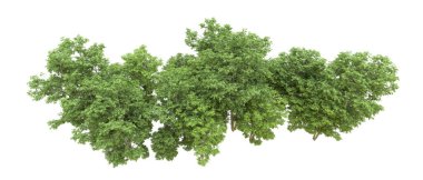 Yeşil orman ıssız. Afişler ve afişler için kullanışlı. 3d oluşturma.