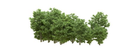 Yeşil orman ıssız. Afişler ve afişler için kullanışlı. 3d oluşturma.