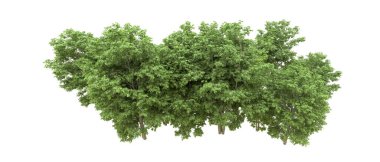 Yeşil orman ıssız. Afişler ve afişler için kullanışlı. 3d oluşturma.