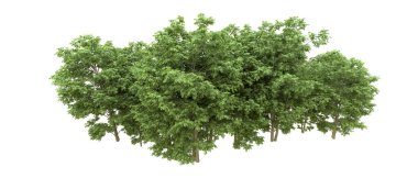 Yeşil orman ıssız. Afişler ve afişler için kullanışlı. 3d oluşturma.