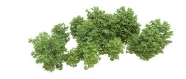 Yeşil orman ıssız. Afişler ve afişler için kullanışlı. 3d oluşturma.