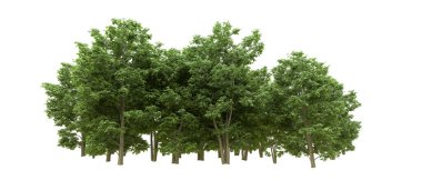 Yeşil orman ıssız. Afişler ve afişler için kullanışlı. 3d oluşturma.