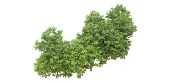 Yeşil orman ıssız. Afişler ve afişler için kullanışlı. 3d oluşturma.