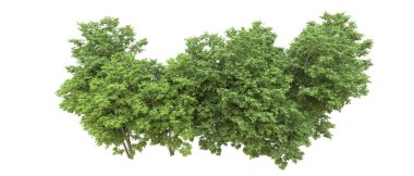 Yeşil orman ıssız. Afişler ve afişler için kullanışlı. 3d oluşturma.