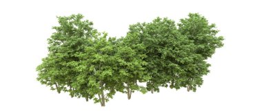 Yeşil orman ıssız. Afişler ve afişler için kullanışlı. 3d oluşturma.