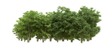 Yeşil orman ıssız. Afişler ve afişler için kullanışlı. 3d oluşturma.