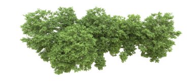 Yeşil orman ıssız. Afişler ve afişler için kullanışlı. 3d oluşturma.