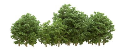 Yeşil orman ıssız. Afişler ve afişler için kullanışlı. 3d oluşturma.