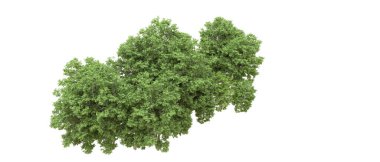 Yeşil orman ıssız. Afişler ve afişler için kullanışlı. 3d oluşturma.