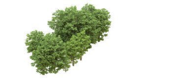 Yeşil orman ıssız. Afişler ve afişler için kullanışlı. 3d oluşturma.