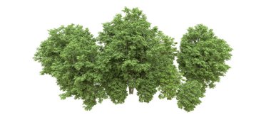 Yeşil orman ıssız. Afişler ve afişler için kullanışlı. 3d oluşturma.