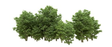 Yeşil orman ıssız. Afişler ve afişler için kullanışlı. 3d oluşturma.