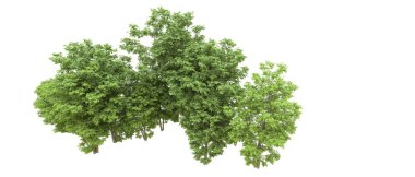 Yeşil orman ıssız. Afişler ve afişler için kullanışlı. 3d oluşturma.