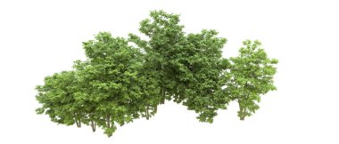 Yeşil orman ıssız. Afişler ve afişler için kullanışlı. 3d oluşturma.