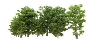 Yeşil orman ıssız. Afişler ve afişler için kullanışlı. 3d oluşturma.