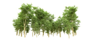 Yeşil orman ıssız. Afişler ve afişler için kullanışlı. 3d oluşturma.