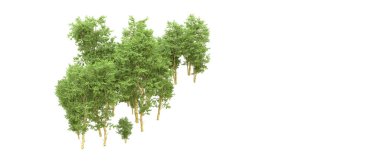 Yeşil orman ıssız. Afişler ve afişler için kullanışlı. 3d oluşturma.