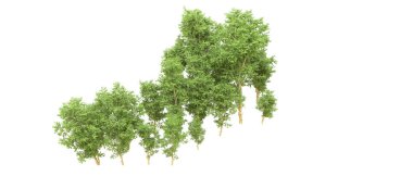 Yeşil orman ıssız. Afişler ve afişler için kullanışlı. 3d oluşturma.