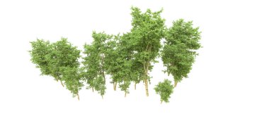 Yeşil orman ıssız. Afişler ve afişler için kullanışlı. 3d oluşturma.