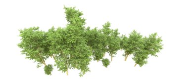 Yeşil orman ıssız. Afişler ve afişler için kullanışlı. 3d oluşturma.