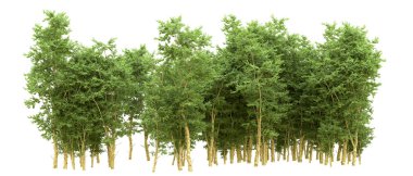 Yeşil orman ıssız. Afişler ve afişler için kullanışlı. 3d oluşturma.