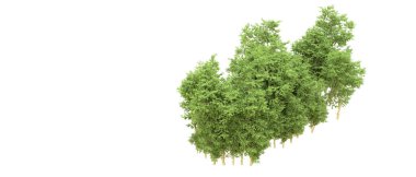 Yeşil orman ıssız. Afişler ve afişler için kullanışlı. 3d oluşturma.